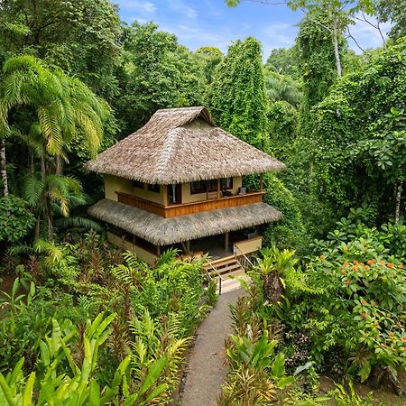 Copa De Arbol Beach & Rainforest Resort Drake Bay Luaran gambar