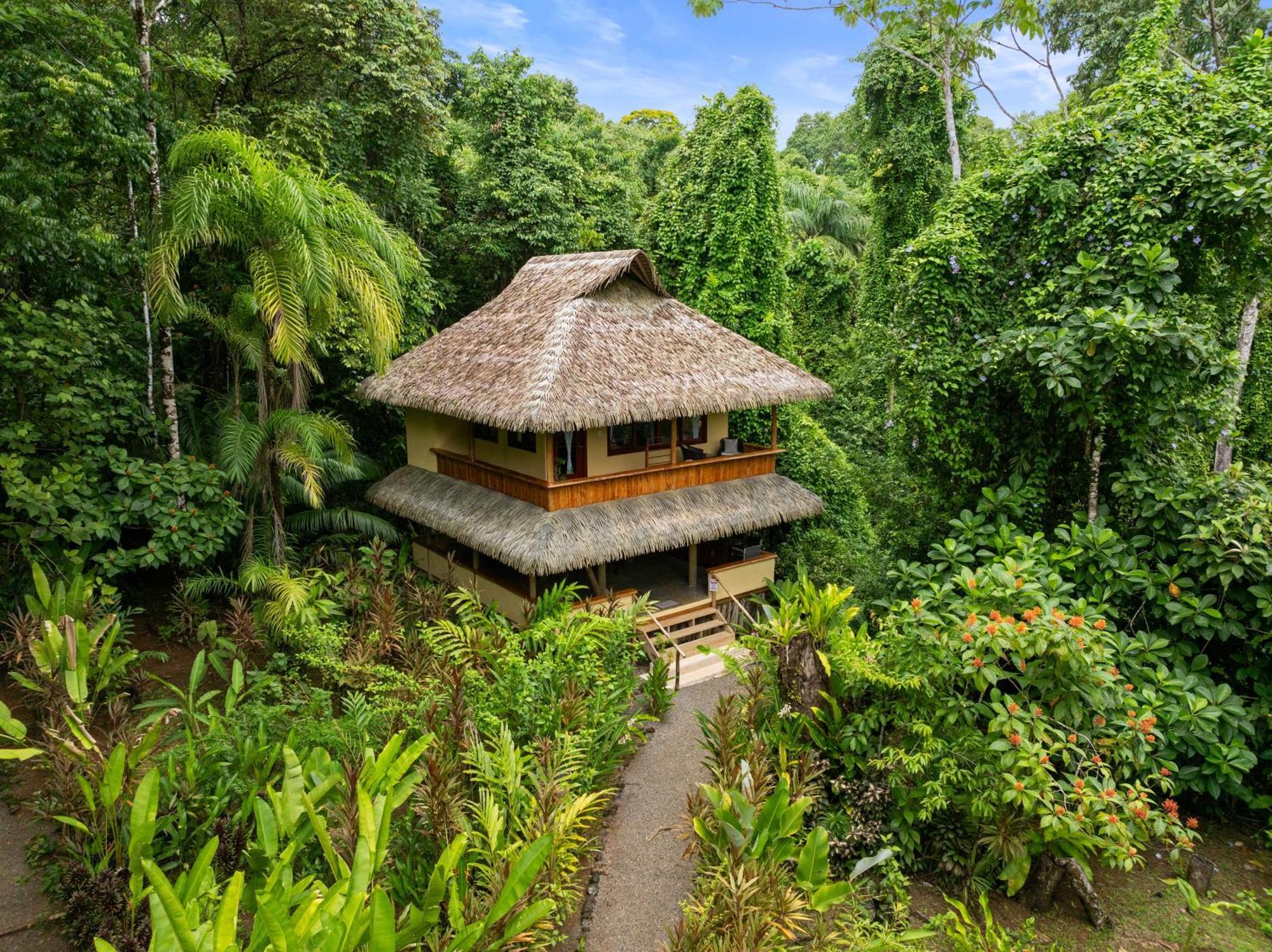 Copa De Arbol Beach & Rainforest Resort Drake Bay Luaran gambar
