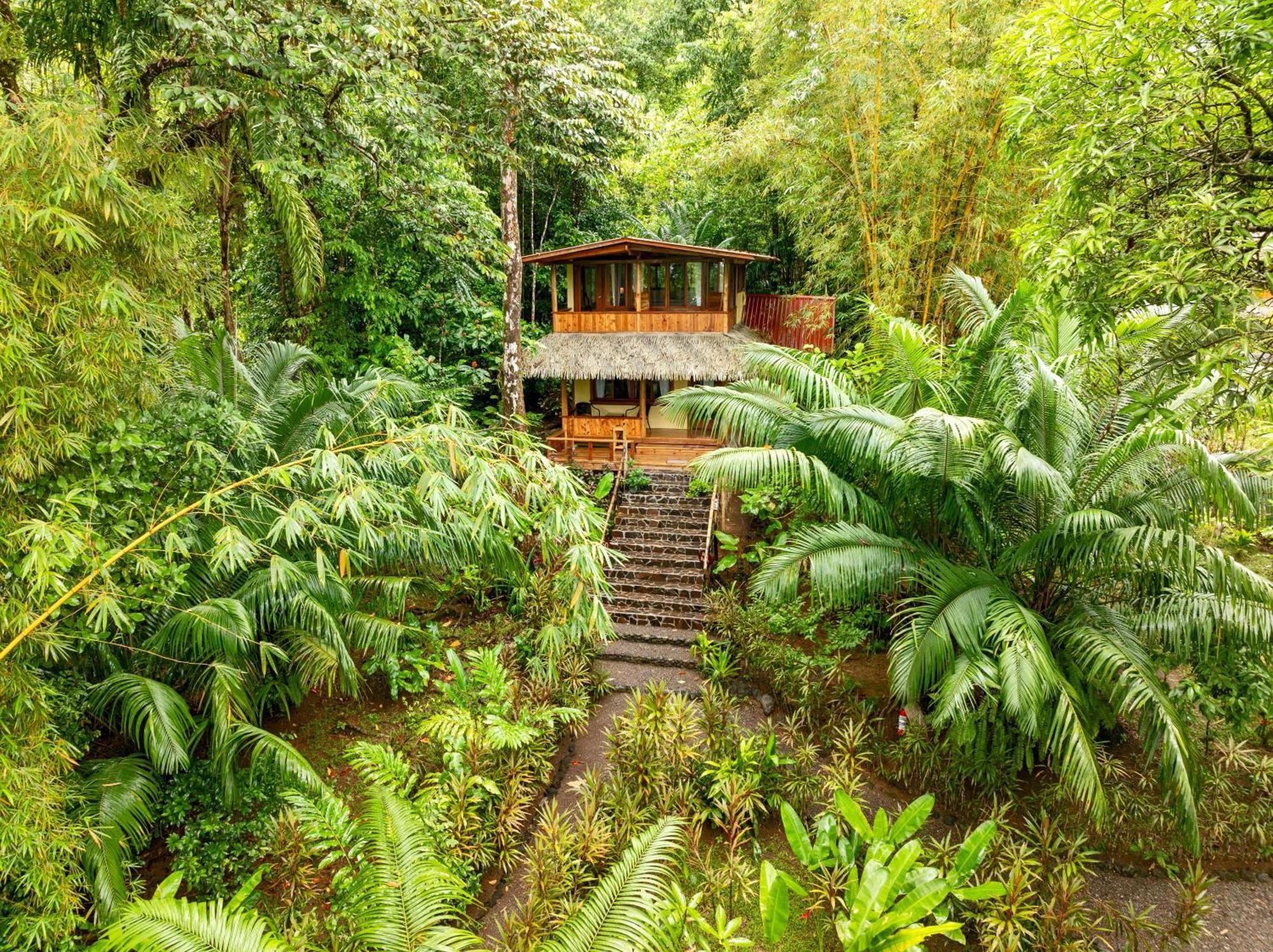 Copa De Arbol Beach & Rainforest Resort Drake Bay Luaran gambar