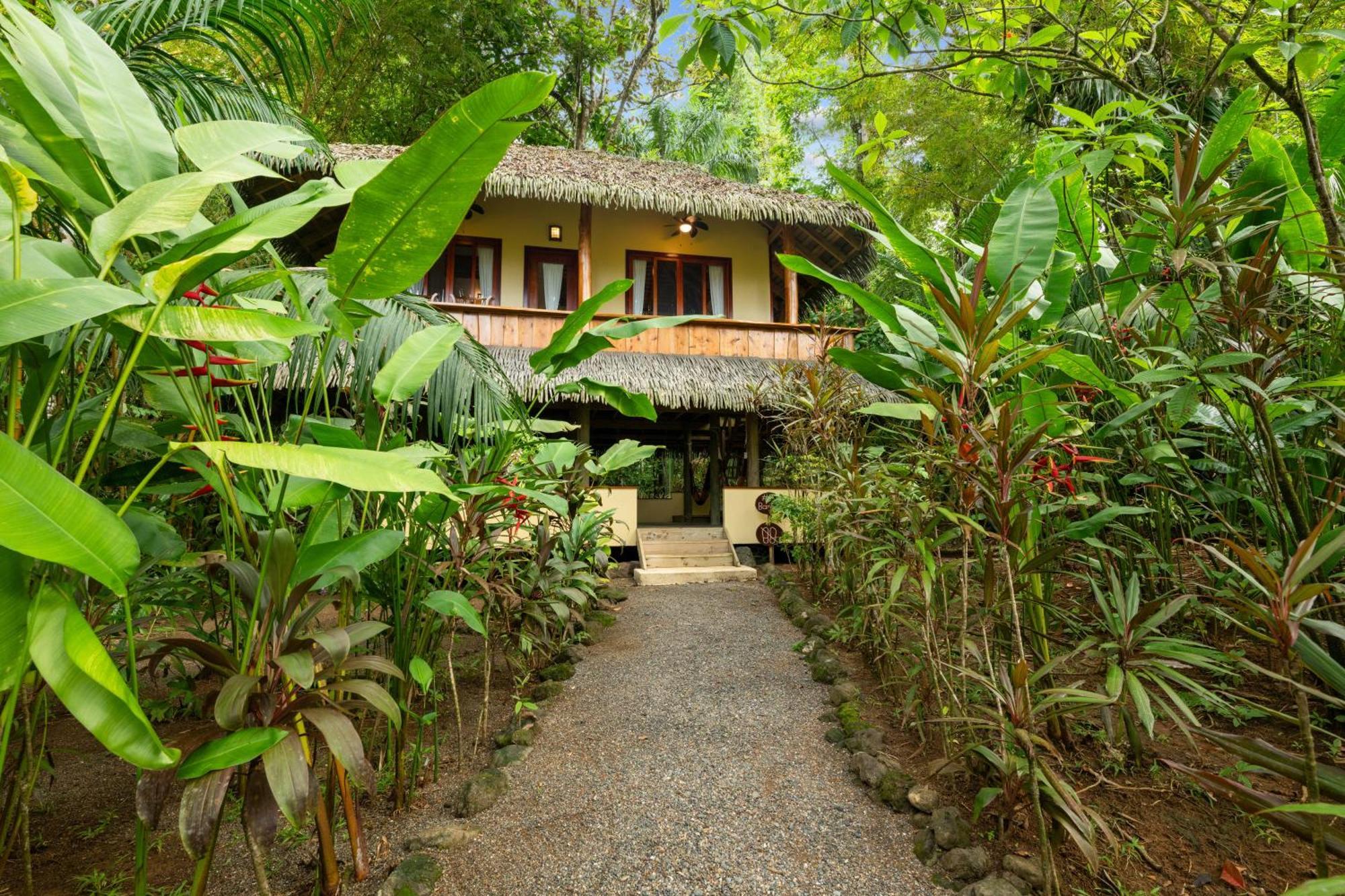 Copa De Arbol Beach & Rainforest Resort Drake Bay Bilik gambar
