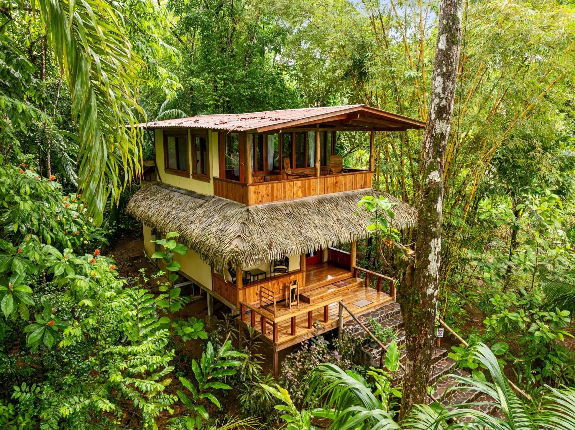 Copa De Arbol Beach & Rainforest Resort Drake Bay Luaran gambar