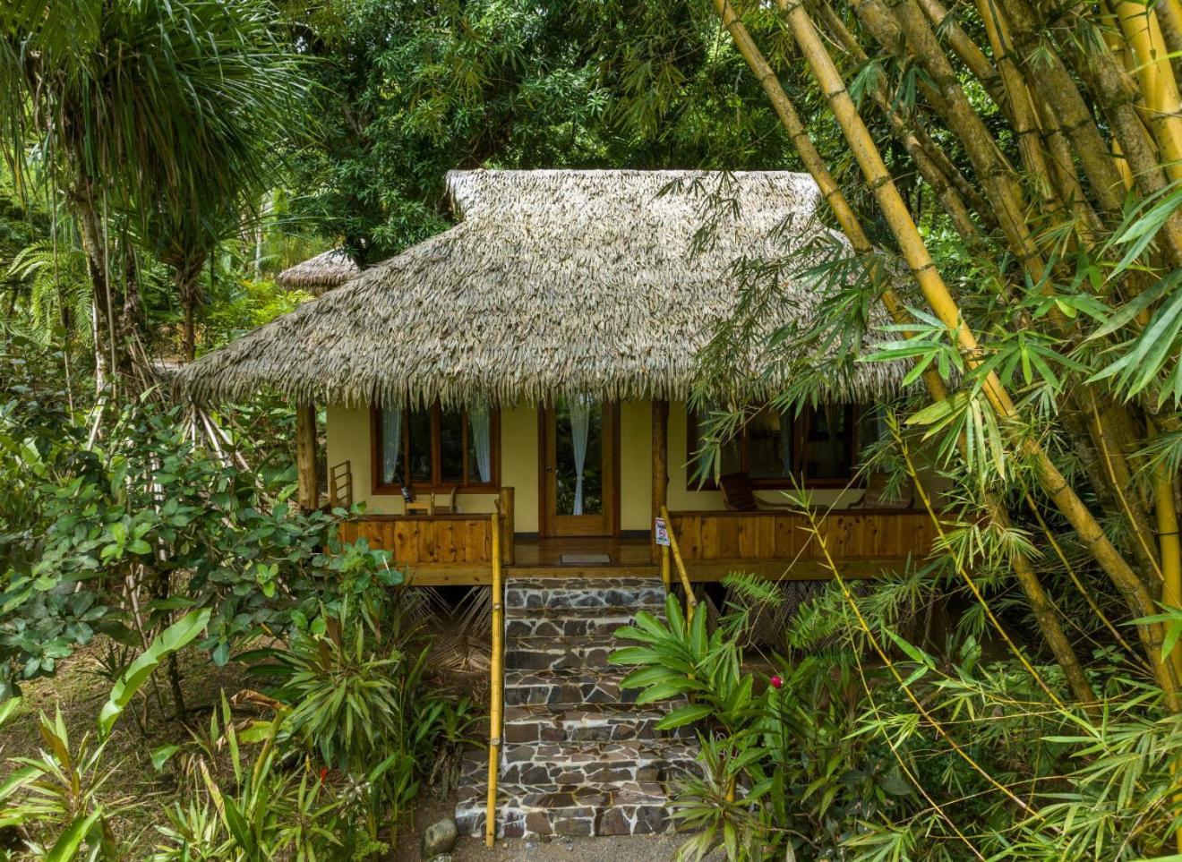 Copa De Arbol Beach & Rainforest Resort Drake Bay Luaran gambar