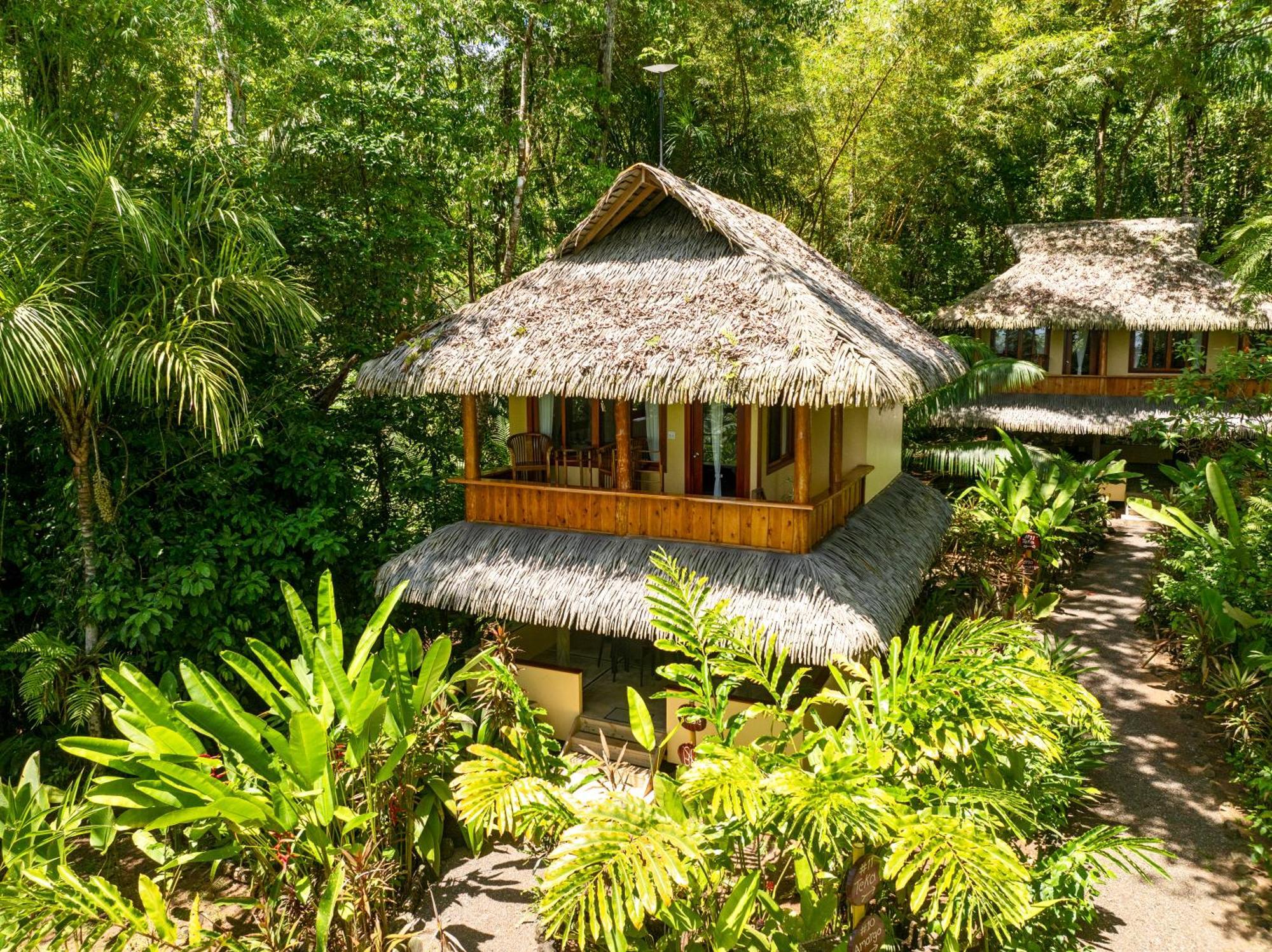 Copa De Arbol Beach & Rainforest Resort Drake Bay Luaran gambar