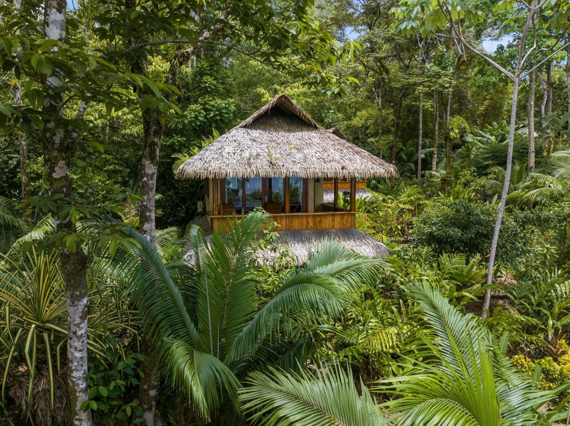 Copa De Arbol Beach & Rainforest Resort Drake Bay Bilik gambar