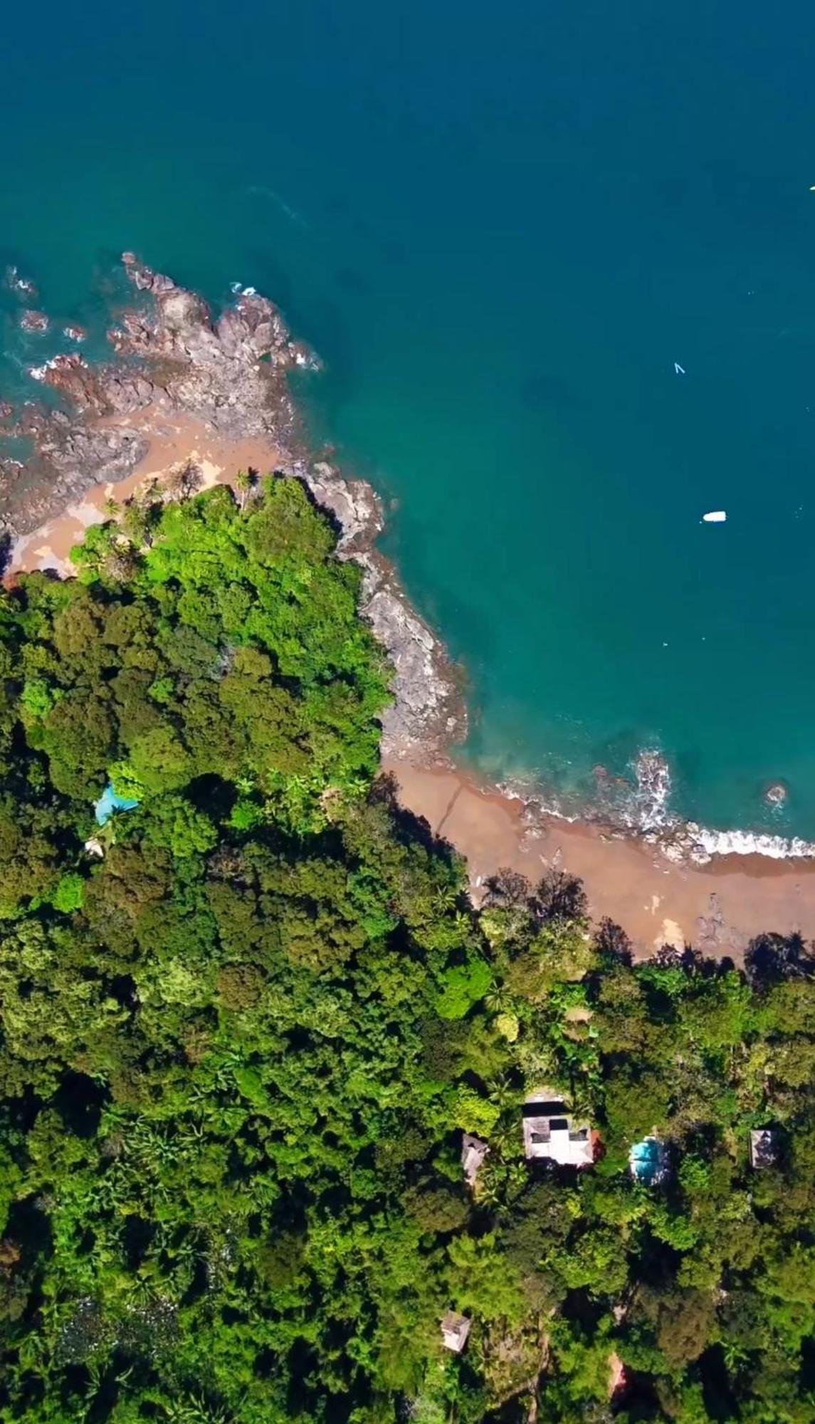 Copa De Arbol Beach & Rainforest Resort Drake Bay Luaran gambar