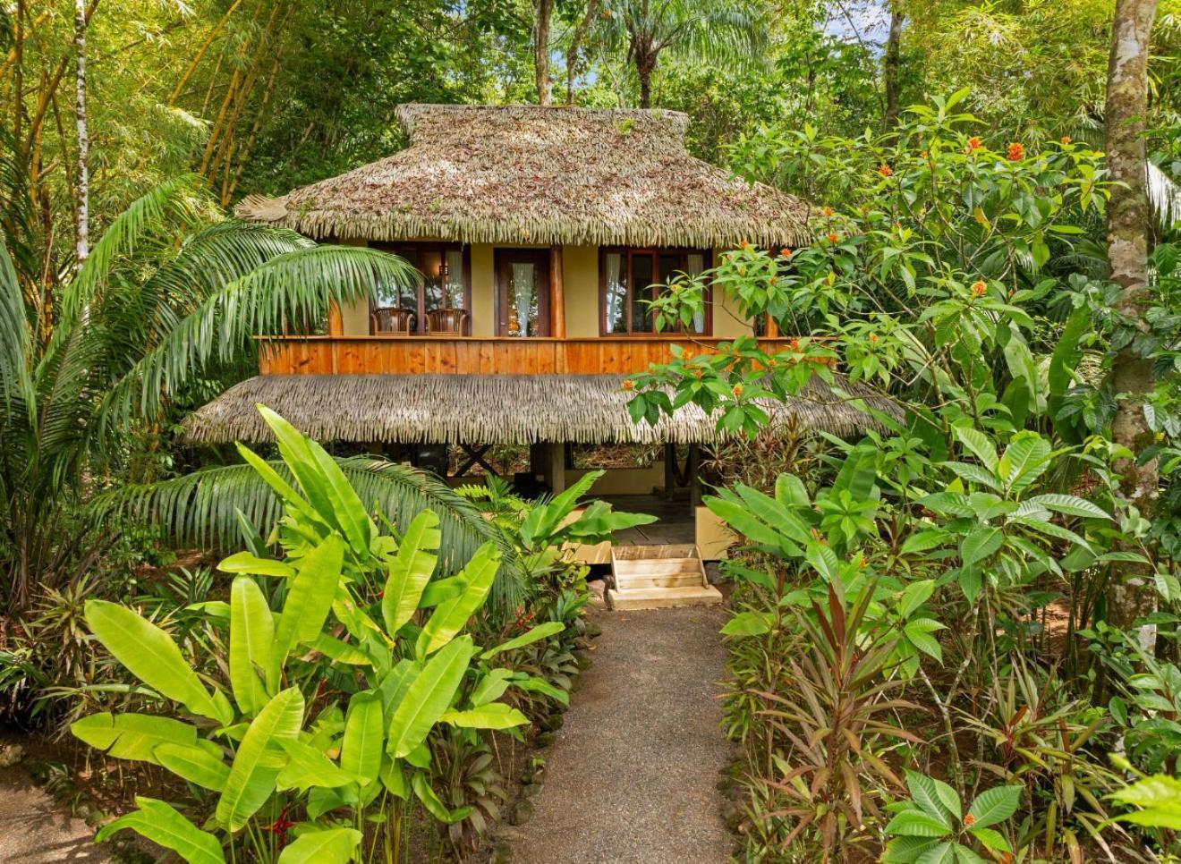 Copa De Arbol Beach & Rainforest Resort Drake Bay Luaran gambar