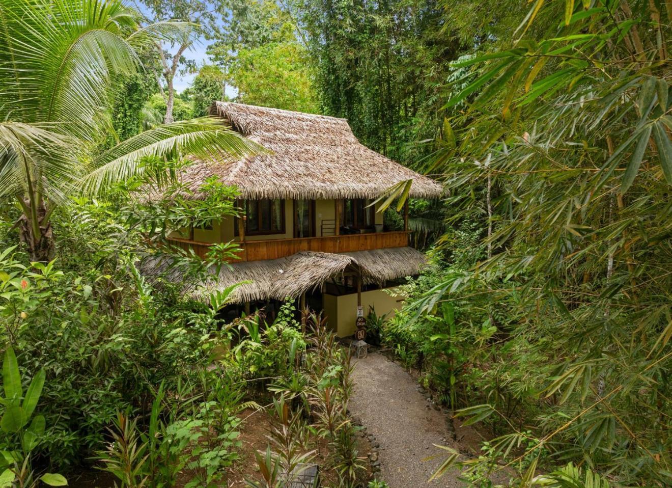 Copa De Arbol Beach & Rainforest Resort Drake Bay Luaran gambar