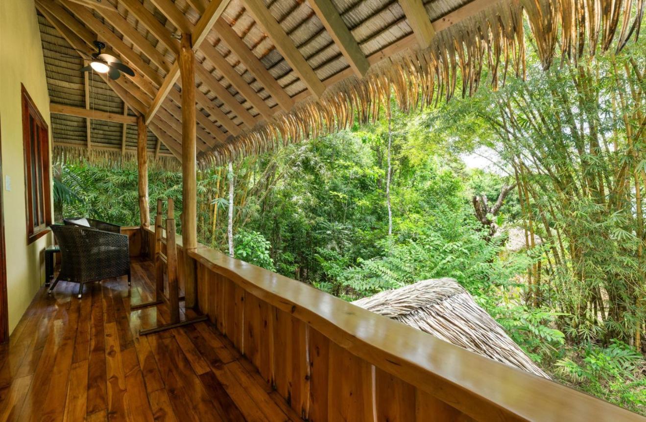 Copa De Arbol Beach & Rainforest Resort Drake Bay Luaran gambar