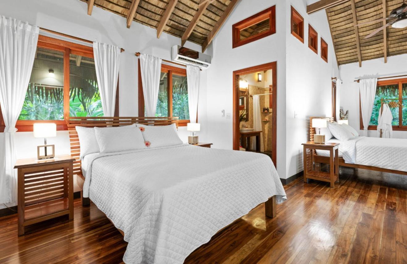 Copa De Arbol Beach & Rainforest Resort Drake Bay Luaran gambar