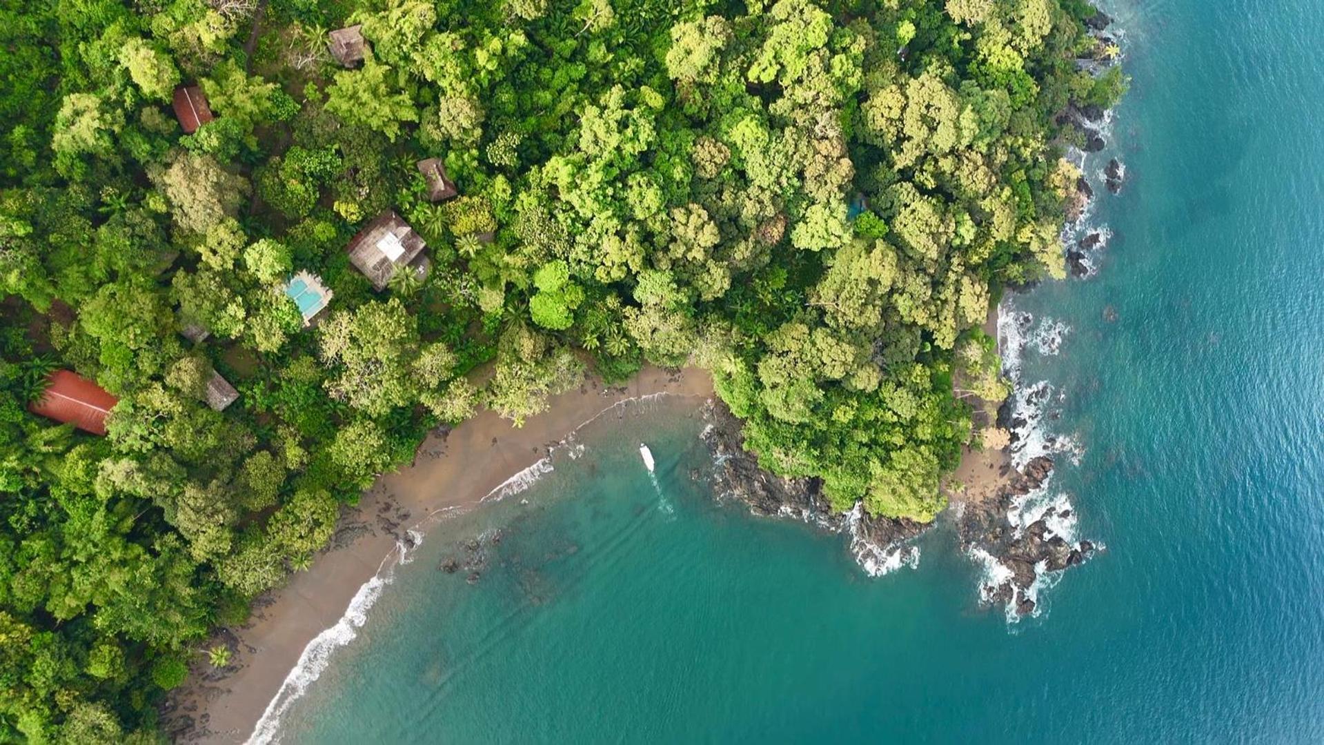 Copa De Arbol Beach & Rainforest Resort Drake Bay Luaran gambar