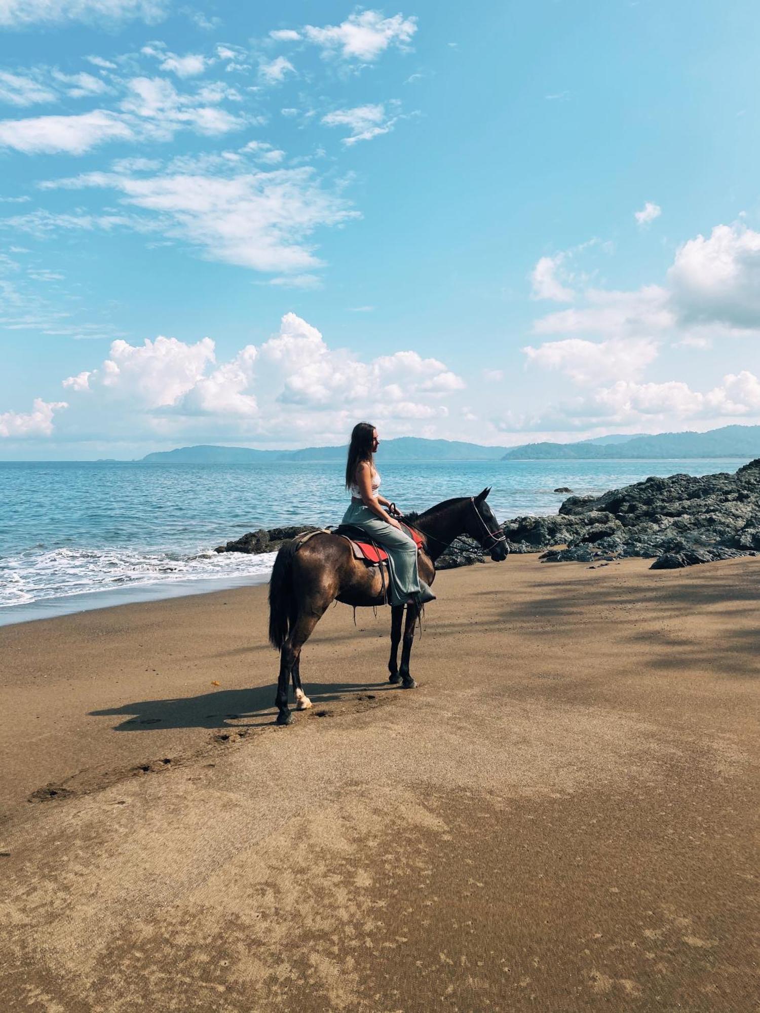 Copa De Arbol Beach & Rainforest Resort Drake Bay Luaran gambar